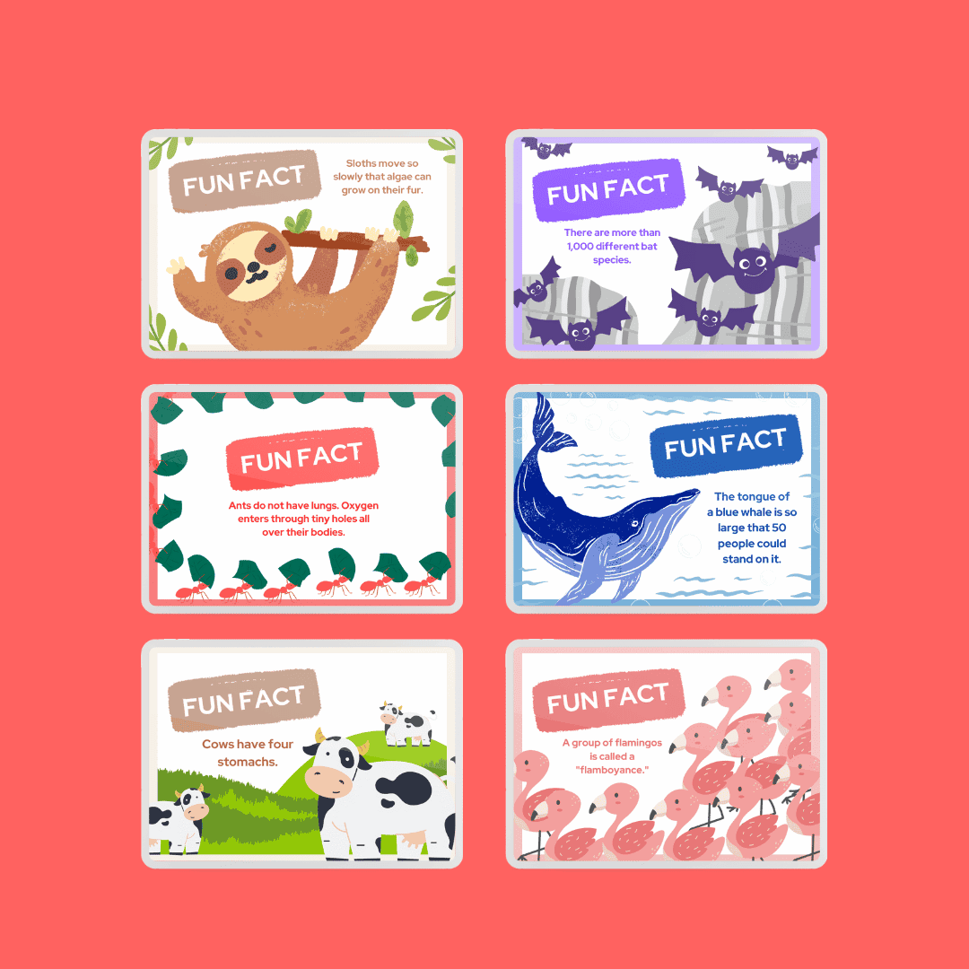 50 Animal Themed Lunch Box Facts HobbyScool