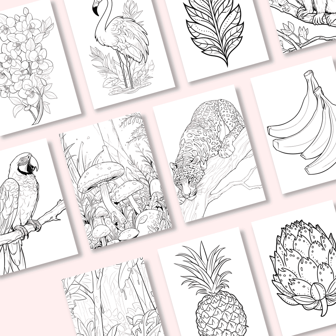 HobbyScool Jungle Coloring Book Mockup 2