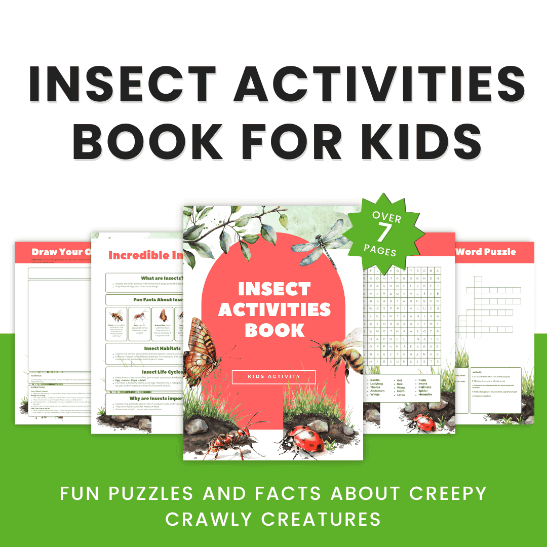 Insect Activities Book for Kids