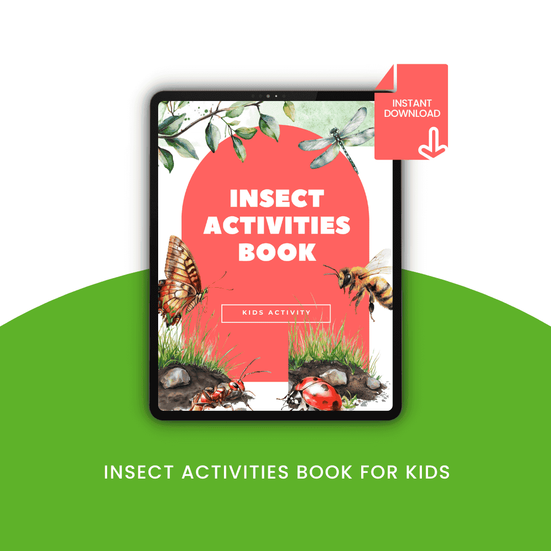 Insect Activities Book for Kids Template