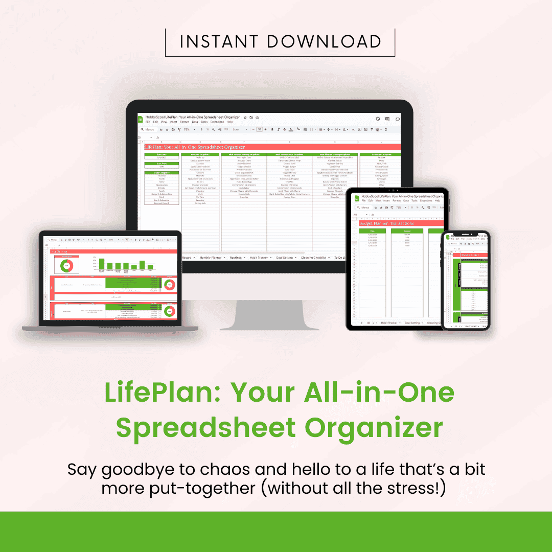 LifePlan: Your All-in-One Spreadsheet Organizer HobbyScool