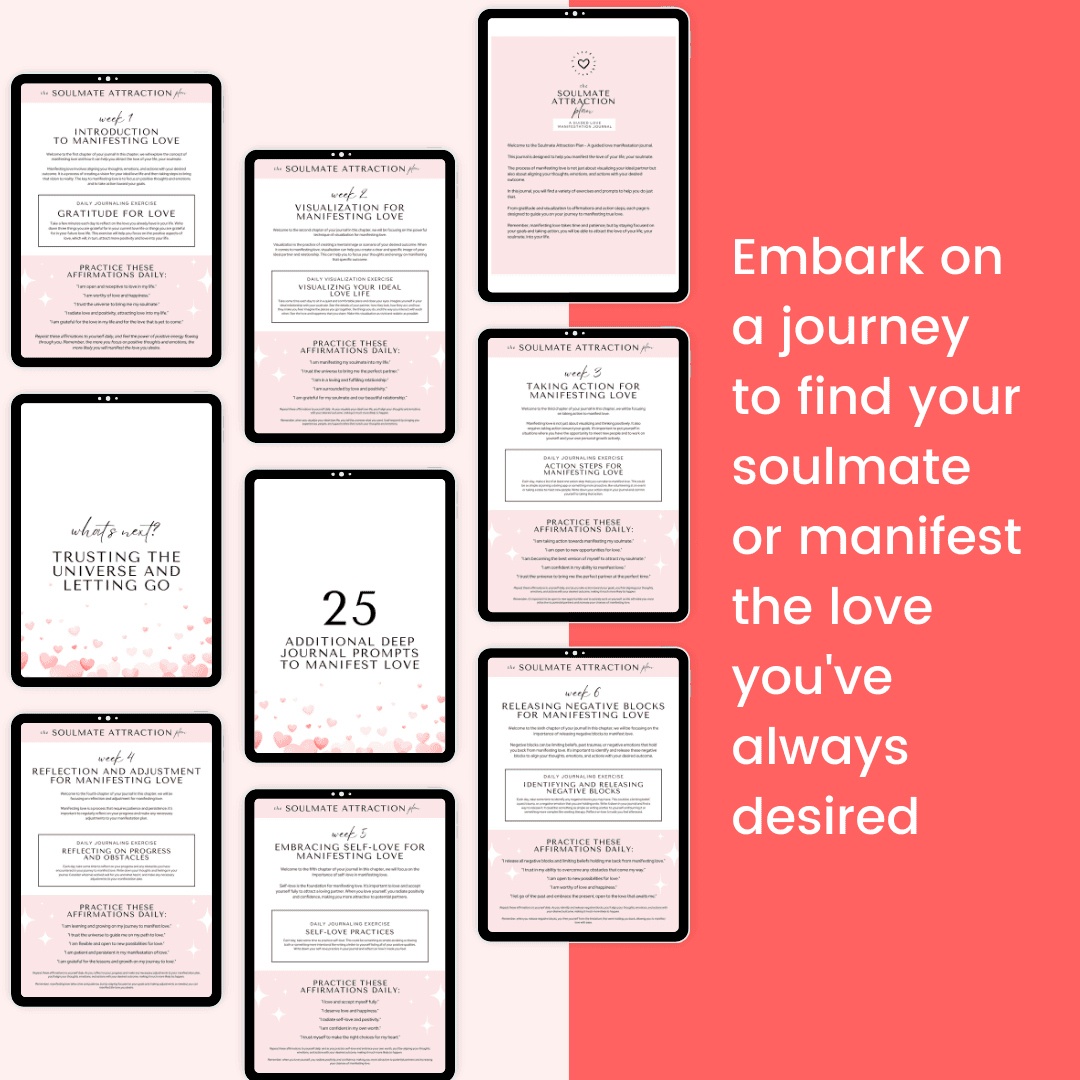 Soulmate Attraction Plan Journal HobbyScool