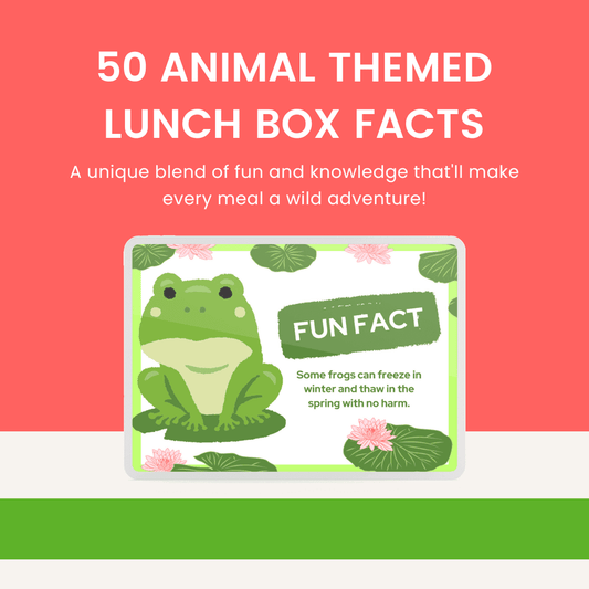 50 Animal Themed Lunch Box Facts HobbyScool