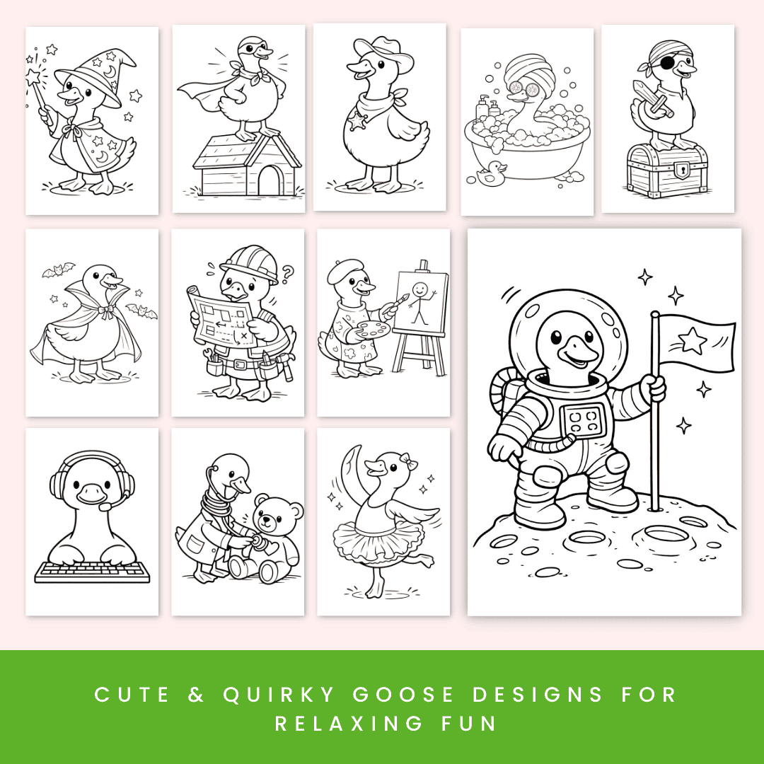 HobbyScool goose Coloring Book Mock up 2
