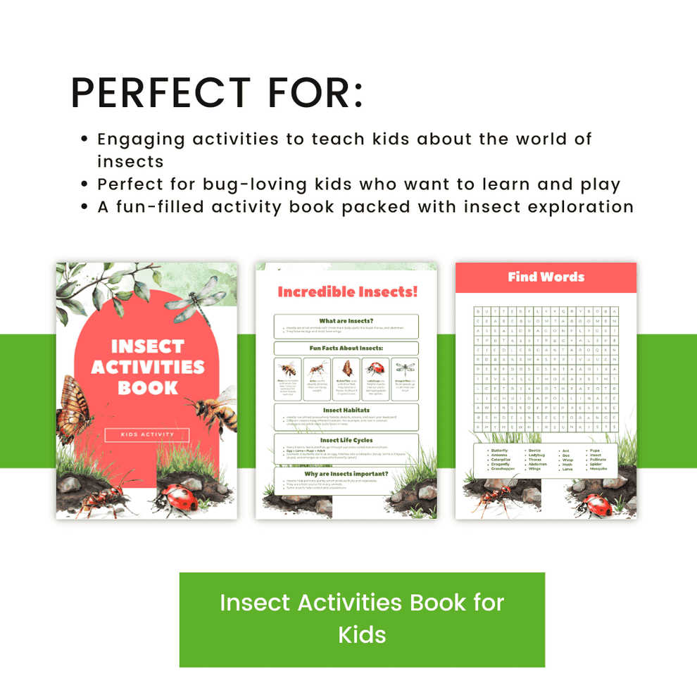 Insect Activities Book for Kids – HobbyScool